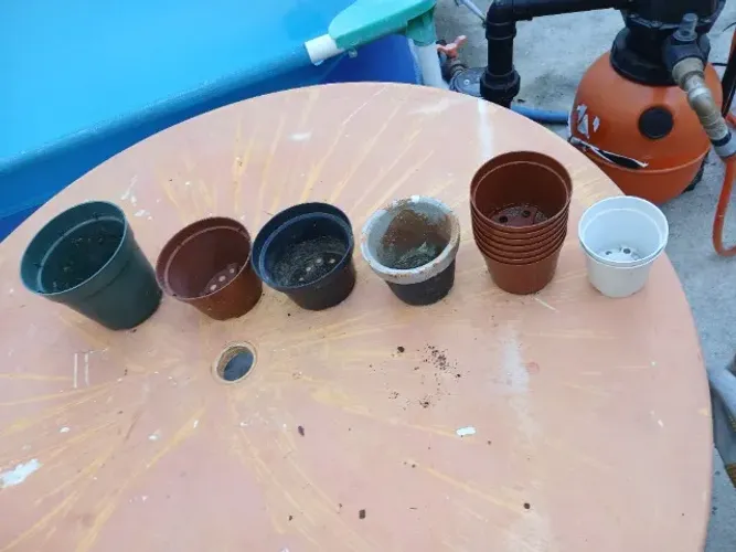 VASOS DE PLANTA TAMANHO PEQUENO MAIS DE 5 UNIDADES