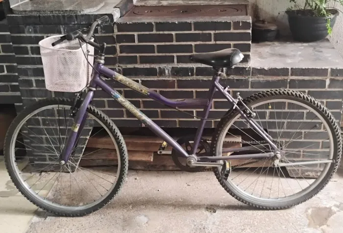 Bicicleta feminina