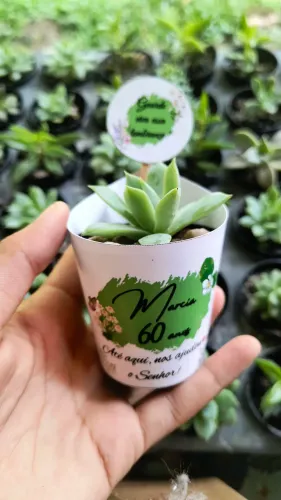 Lembrancinhas de plantas personalizadas 