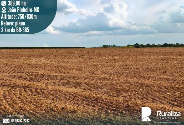 Fazenda Plantando Cana-de-Açúcar | Dupla Aptidão | 2km da BR-365