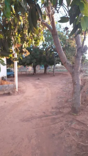 Lote Garavelo Sul