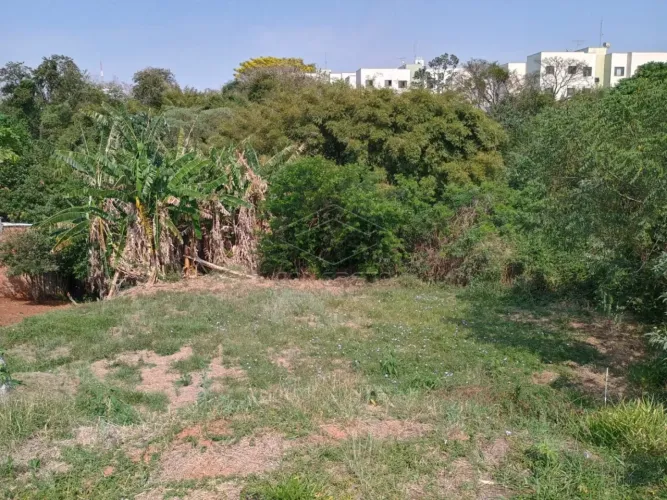 Terreno Padrão em Botucatu