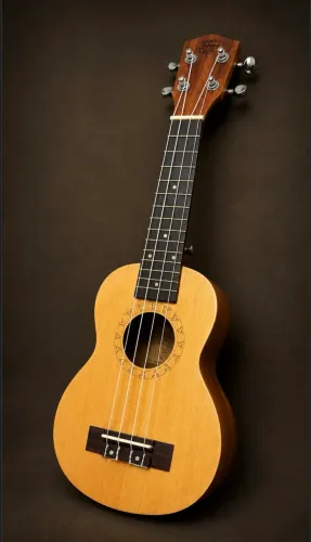 VENDO UKULELE ACÚSTICO BUMBLEBEE BUC22 CONCERT