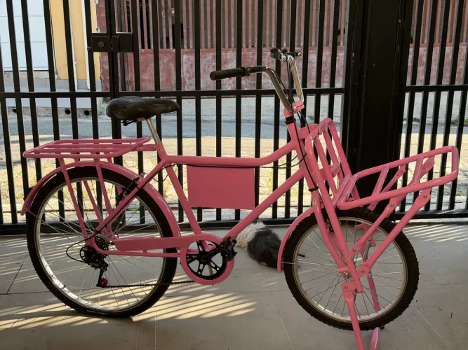 Bicicleta rosa de carga 