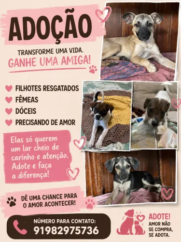 Doação 