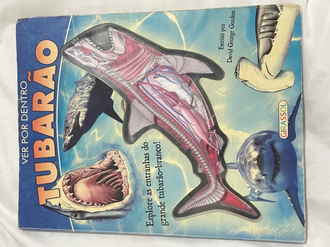 Livro ver por dentro tubarão
