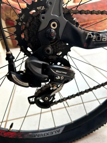 Bicicleta oggi aro 29