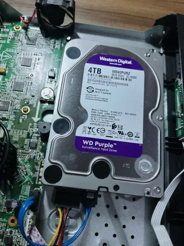 HD WD PURPLE 4tb