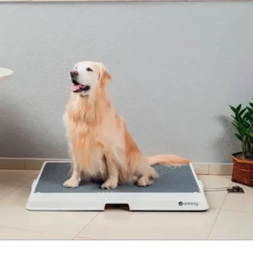 Weasy Cão | Banheiro inteligente. Cor Preto, Tam Médio.