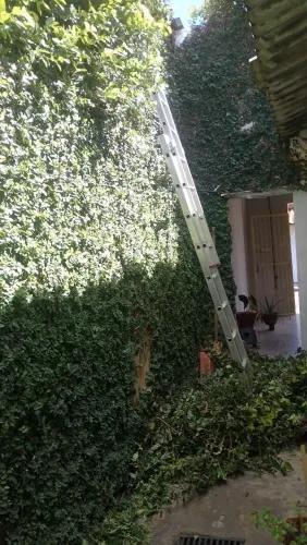 Jardineiro - Manutenção em Jardins 