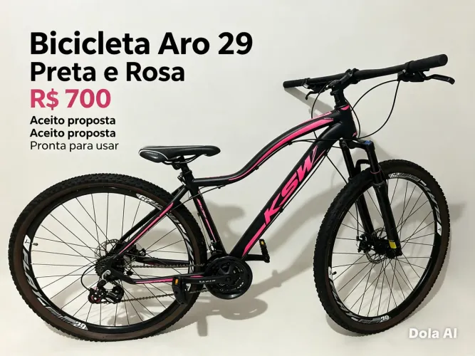 Bicicleta