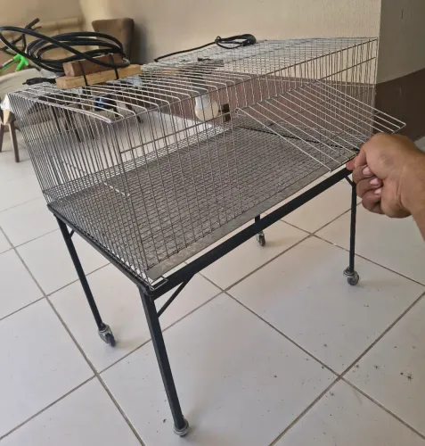 VIVEIRO PARA PINTINHO