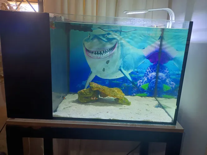 Aquário Marinho 