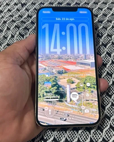 iPhone 12 Pro Max 256