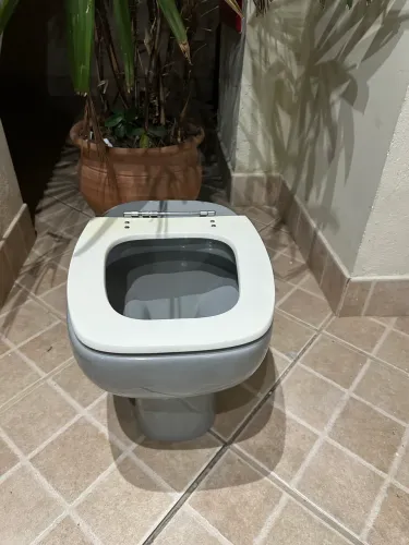 Vaso sanitário