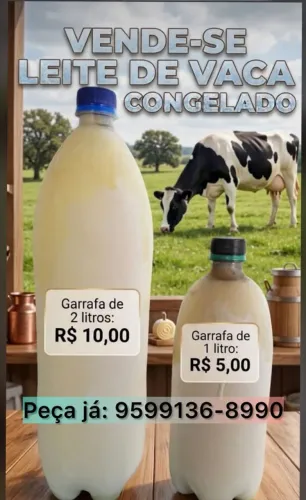 LEITE DE VACA CONGELADO