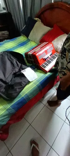 Vendo uma linda sanfona pra sai logo quem conhece sabe da qualidade