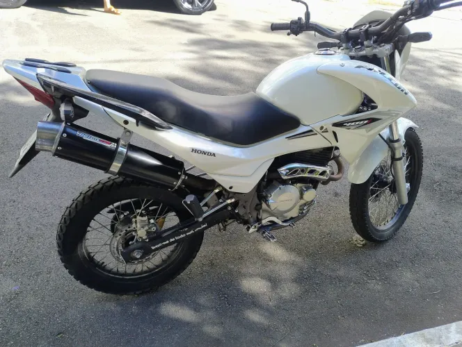 Falcon Novíssima