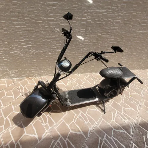 Scooter eletrica - Citycoco - 1000W