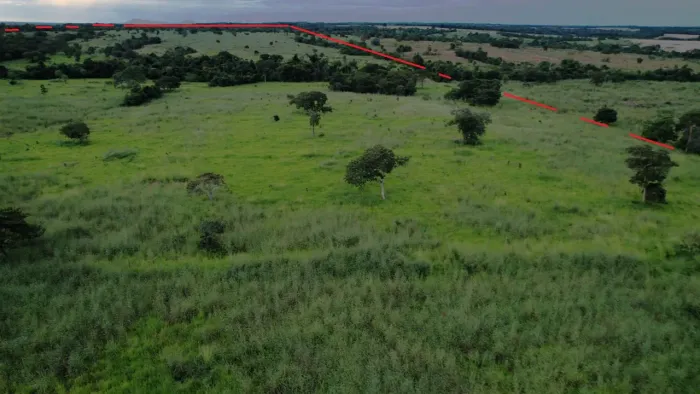 Vende uma fazenda 90,02 hectares