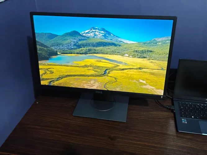Monitor Dell P2317H