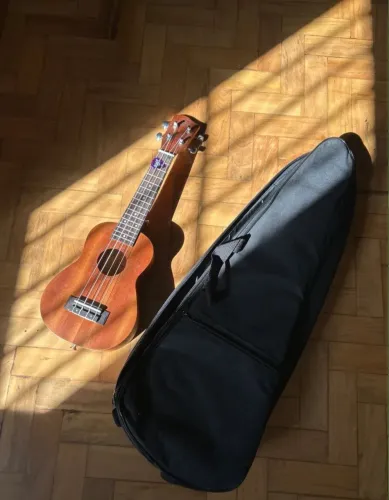 Ukulele com capa