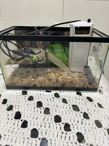 Aquaterrario