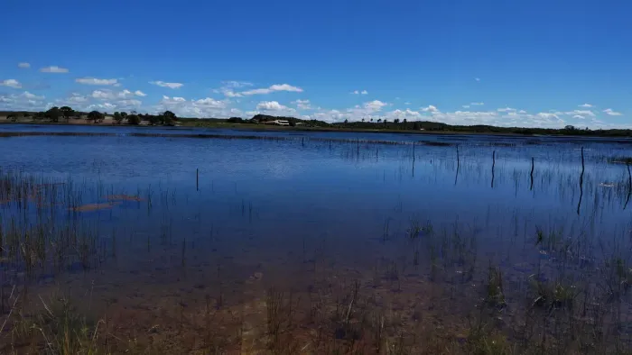 terreno lagoa tambaquis abais