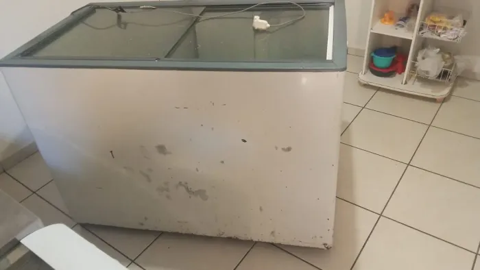 Vendo freezer 