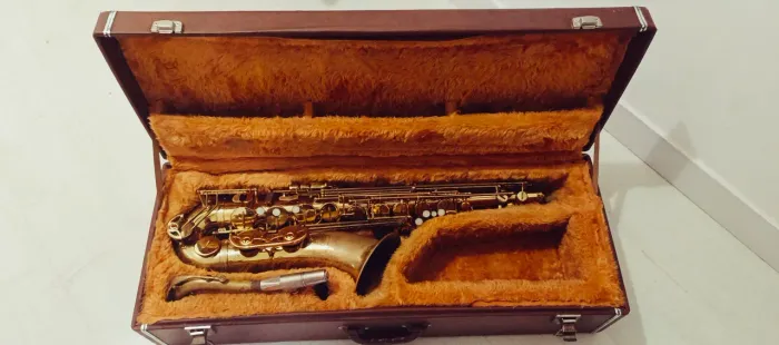 Sax tenor MICHAEL WTS33, custom by IVAN MEYER + BOQUILHA  ton Krislen jazz 7 