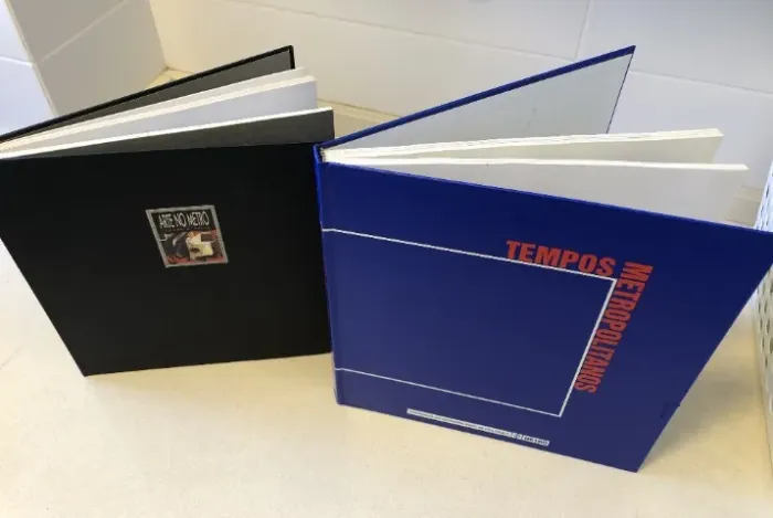 Livros Arte No Metrô E Tempos Metropolitanos Edição De Luxo