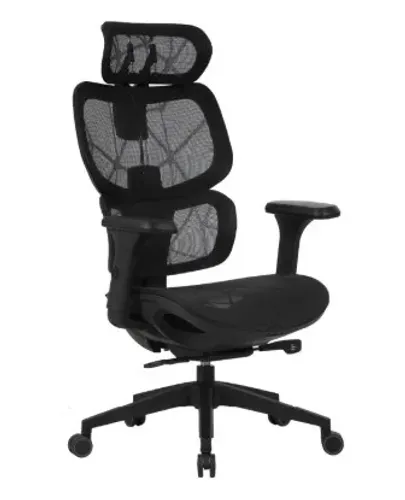 Cadeira Ergonômica Elements Siggy