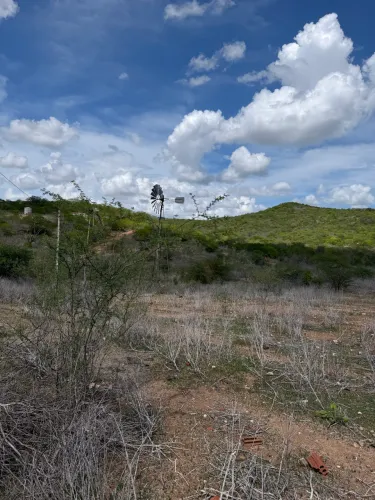 Fazenda em PICUI PB