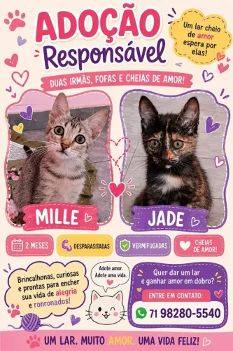 Dois coraçãozinho à espera de um lar