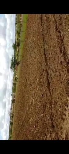 Terreno 1.800m² (60x30) Sítio Arruda - próximo a Pocinhos
