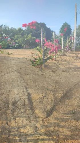 Chácara de 1.000m² em Cariacica (Vila Merlo) - Aceito Veículo!