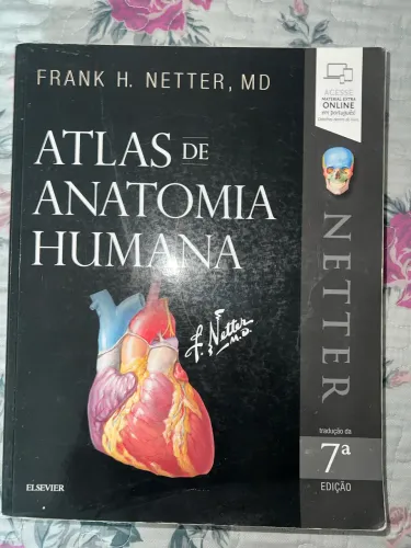 Combo anatomia (imagem + clínica) 