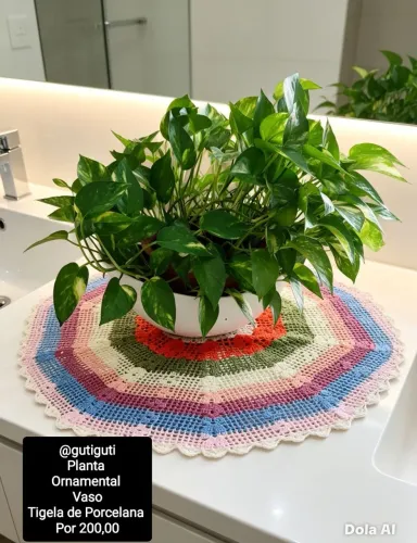 PLANTA NO VASO POR