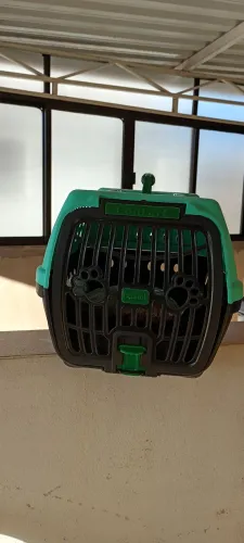 Caixa de transporte de pet 