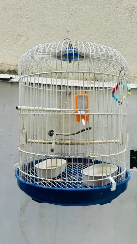 Gaiola Redonda