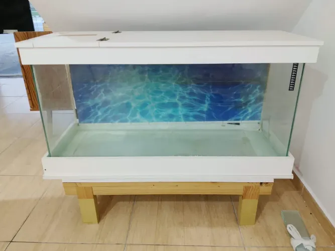 aquario