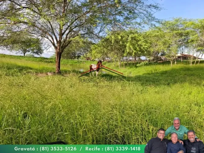 Fazenda Completa em Limoeiro  281,6 Hectares