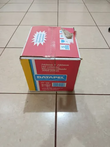 Formulário continuo 80 colunas, 3000 folhas Datapel, caixa lacrada