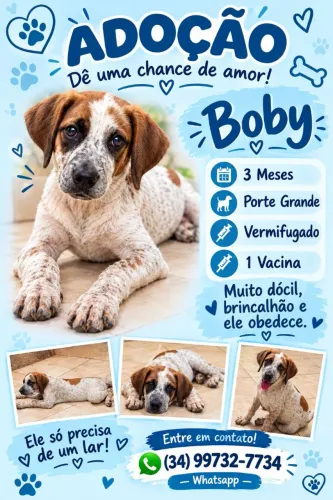 Cachorro Porte Grande