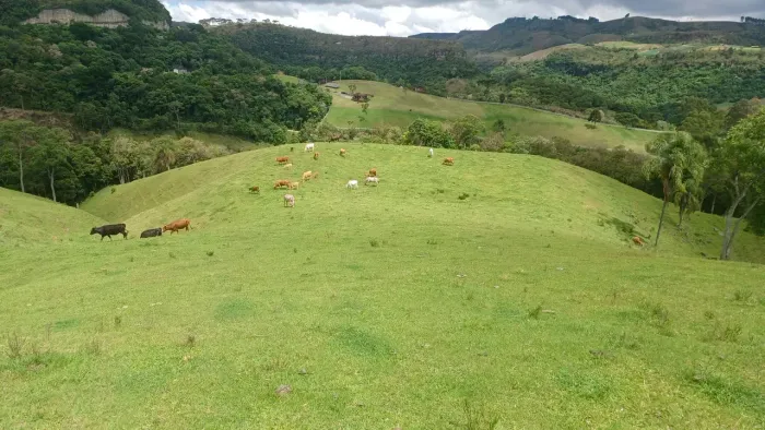 Imóvel para venda com 20000 metros quadrados em Boa Vista - Rancho Queimado - SC