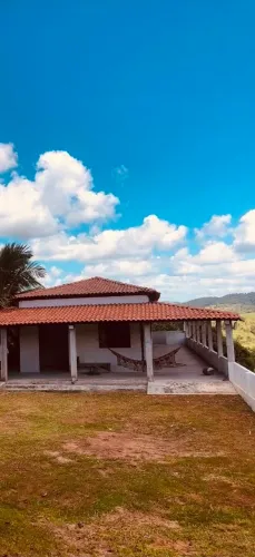 Procuro CADELA ( cachorra) DE GRANDE PORTE para uma pequena chácara.