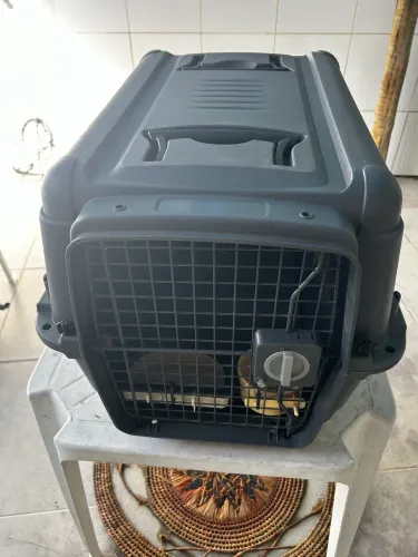 Caixa transporte de pet