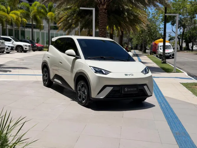 BYD Dolphin Mini GL 2027