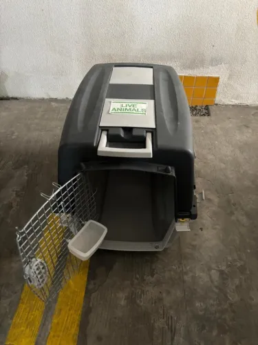 Caixa Transporte Cachorro/Pet indicada também para aéreo