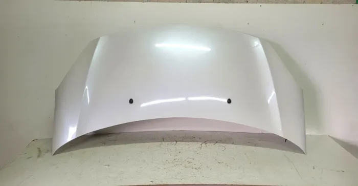 Capo citroen C3 13/20